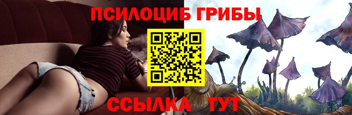 Апатиты  Галлюциногенные грибы Magic Shrooms  Вход с VPN  Псилоцибиновые грибы мухоморы 